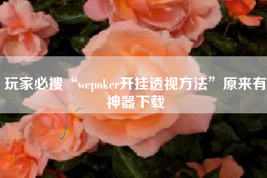 玩家必搜“wepoker开挂透视方法	”原来有神器下载