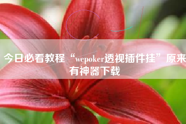 今日必看教程“wepoker透视插件挂”原来有神器下载