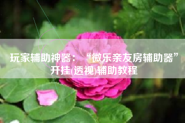 玩家辅助神器：“微乐亲友房辅助器”开挂(透视)辅助教程