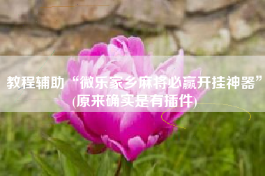 教程辅助“微乐家乡麻将必赢开挂神器”(原来确实是有插件)