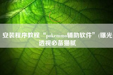 安装程序教程“pokemmo辅助软件”(曝光透视必备猫腻