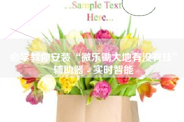 必学教你安装“微乐锄大地有没有挂”辅助器 - 实时智能