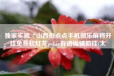 独家实测“山西扣点点手机微乐麻将开挂免费软红龙poker有透视辅助挂(太