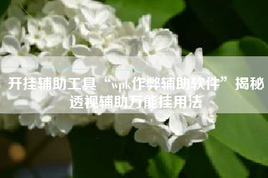 开挂辅助工具“wpk作弊辅助软件”揭秘透视辅助万能挂用法