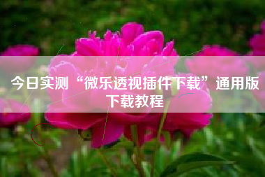 今日实测“微乐透视插件下载”通用版下载教程