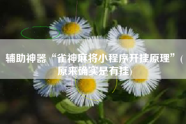 辅助神器“雀神麻将小程序开挂原理”(原来确实是有挂)