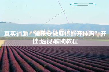 真实辅助“微乐安徽麻将能开挂吗	”开挂(透视)辅助教程