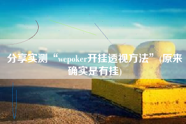 分享实测“wepoker开挂透视方法”(原来确实是有挂)