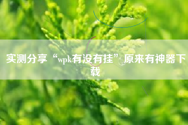 实测分享“wpk有没有挂”原来有神器下载