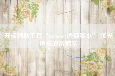 开挂辅助工具“wepoker透视脚本”(曝光透视必备猫腻