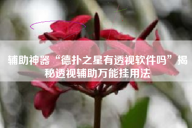 辅助神器“德扑之星有透视软件吗”揭秘透视辅助万能挂用法