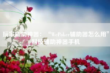 玩家辅助神器：“WePoker辅助器怎么用”科技辅助神器手机