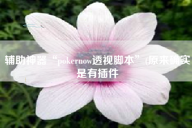 辅助神器“pokernow透视脚本	”(原来确实是有插件