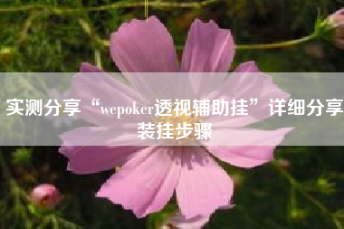 实测分享“wepoker透视辅助挂	”详细分享装挂步骤
