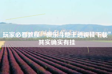 玩家必看教程“微乐斗地主透视挂下载”其实确实有挂