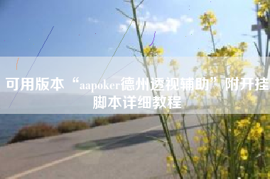 可用版本“aapoker德州透视辅助	”附开挂脚本详细教程