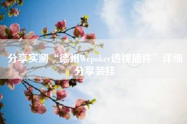 分享实测“德州Wepoker透视插件”详细分享装挂
