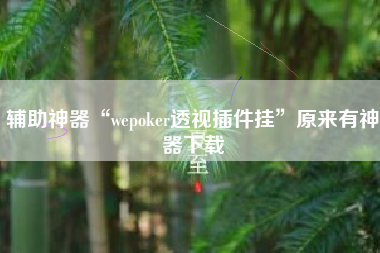 辅助神器“wepoker透视插件挂”原来有神器下载