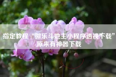 指定教程“微乐斗地主小程序透视下载”原来有神器下载