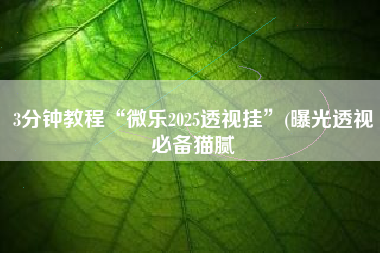 3分钟教程“微乐2025透视挂”(曝光透视必备猫腻