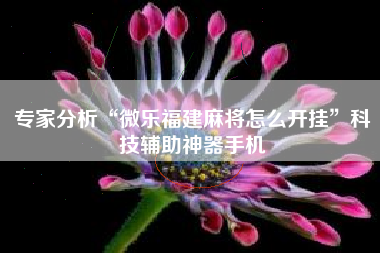 专家分析“微乐福建麻将怎么开挂”科技辅助神器手机