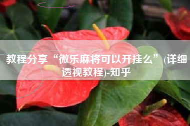 教程分享“微乐麻将可以开挂么”(详细透视教程)-知乎