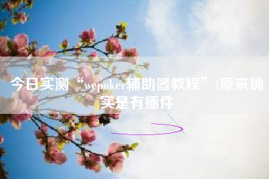 今日实测“wepoker辅助器教程”(原来确实是有插件