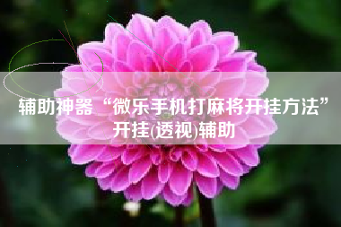 辅助神器“微乐手机打麻将开挂方法”开挂(透视)辅助