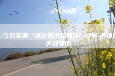 今日实测“德扑圈透视插件	”作弊(透视)透视辅助