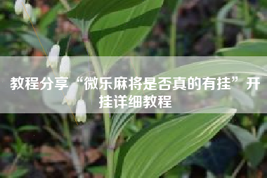 教程分享“微乐麻将是否真的有挂”开挂详细教程