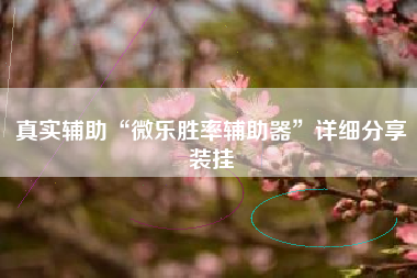 真实辅助“微乐胜率辅助器”详细分享装挂