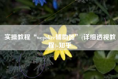 实操教程“wepoker辅助器”(详细透视教程)-知乎 实操教程“wepoker辅助器”(详细透视教程)-知乎