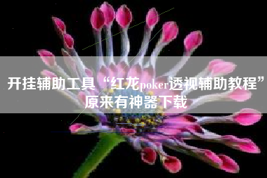 开挂辅助工具“红龙poker透视辅助教程”原来有神器下载