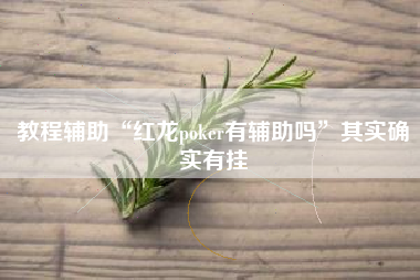 教程辅助“红龙poker有辅助吗”其实确实有挂