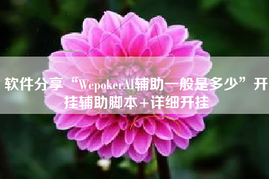 软件分享“WepokerAI辅助一般是多少	”开挂辅助脚本+详细开挂