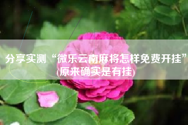 分享实测“微乐云南麻将怎样免费开挂”(原来确实是有挂)