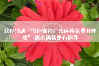 教程辅助“微信雀神广东麻将免费开挂器”(原来确实是有插件