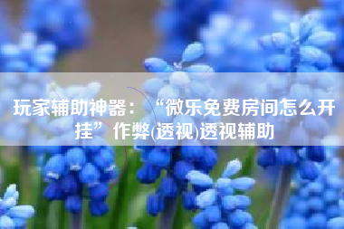 玩家辅助神器：“微乐免费房间怎么开挂”作弊(透视)透视辅助