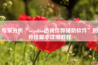 专家分析“wepoker透视作弊辅助软件”附开挂脚本详细教程
