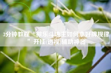 3分钟教程“微乐斗地主如何拿好牌规律	”开挂(透视)辅助神器