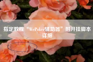 指定教程“WePoker辅助器”附开挂脚本详细