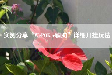 实测分享“WePOKer辅助”详细开挂玩法