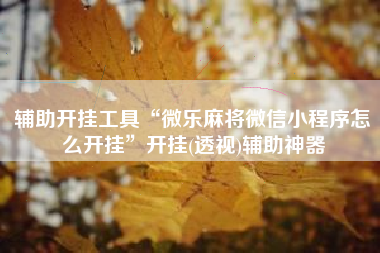 辅助开挂工具“微乐麻将微信小程序怎么开挂”开挂(透视)辅助神器