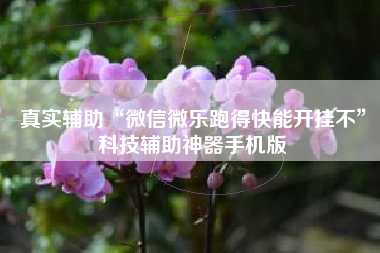 真实辅助“微信微乐跑得快能开挂不	”科技辅助神器手机版