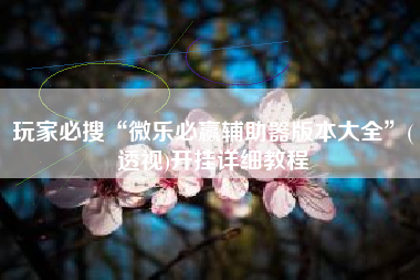 玩家必搜“微乐必赢辅助器版本大全”(透视)开挂详细教程