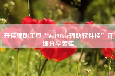 开挂辅助工具“WePOKer辅助软件挂”详细分享装挂