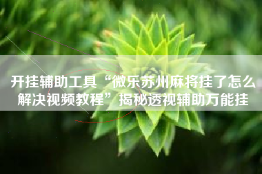 开挂辅助工具“微乐苏州麻将挂了怎么解决视频教程”揭秘透视辅助万能挂