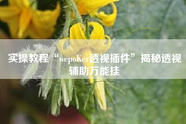 实操教程“wepoKer透视插件”揭秘透视辅助万能挂