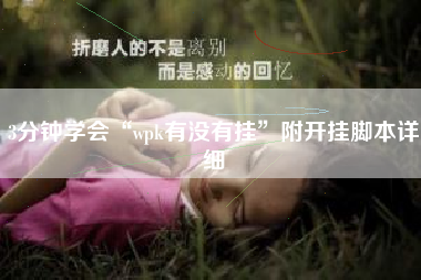 3分钟学会“wpk有没有挂”附开挂脚本详细