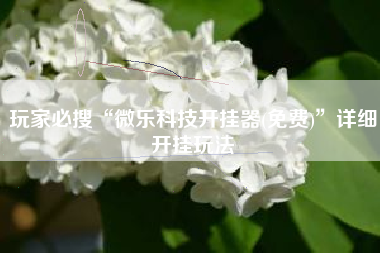 玩家必搜“微乐科技开挂器(免费)”详细开挂玩法